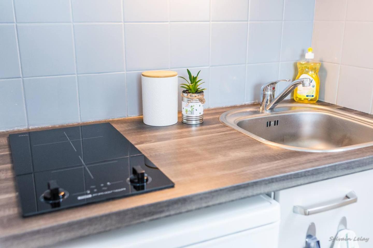 Appartement T2 - Proche Gare - Bord De Vilaine Rennes Ngoại thất bức ảnh